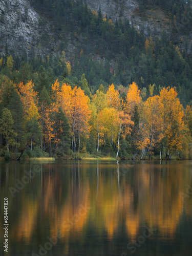 Fototapeta Naklejka Na Ścianę i Meble -  Autumn Colors By The Lake
