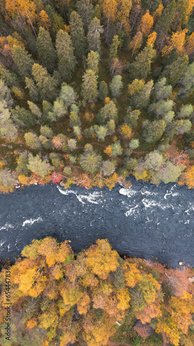 Autumn Vibes By The River