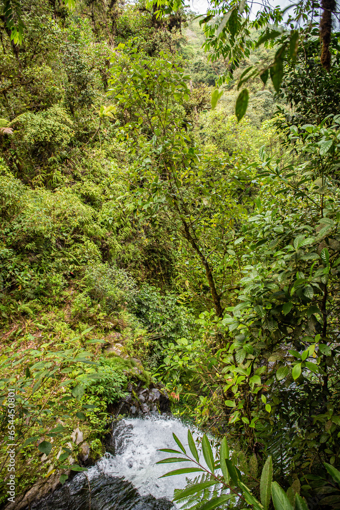 The waterfalls of La Paz in the jungle of Costa Rica, The waterfalls of La Paz in the jungle of Costa Rica,