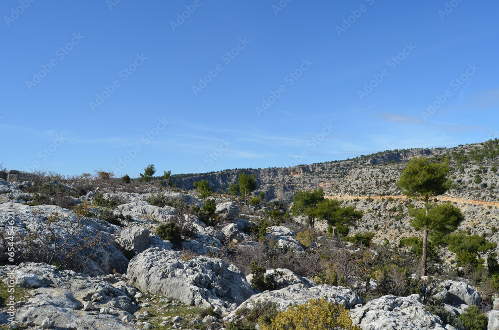 Partially maquis type surface cover and hard rocks in Mersin province in Turkey.