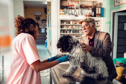 Senior man checking up on his dog in a veterinary clinic photo