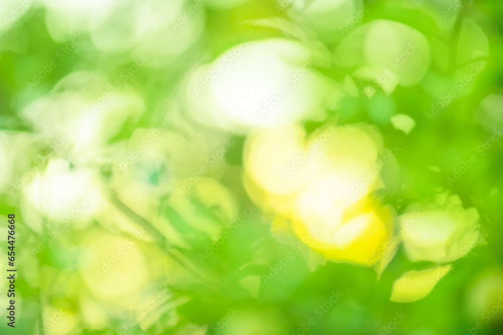 Obraz premium Natural bokeh blurred green plants landscape as background