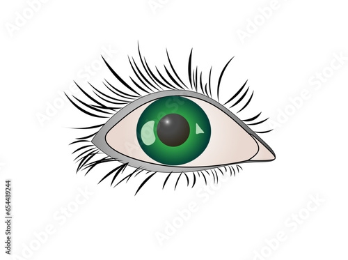 Vector illustration of a cartoon green eye with eyelashes on a white background