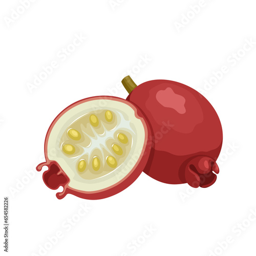 Vector illustration, Psidium livestockyanum, commonly known as strawberry guava or cherry guava, isolated on white background. photo