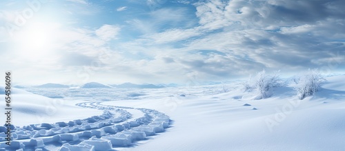 Snow tracks made by winter tires