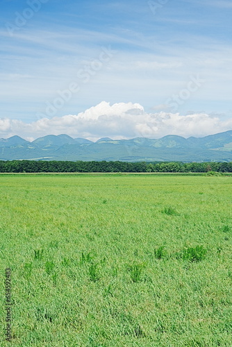 landscape with green field and sky　Kitami City Hokkaido photo