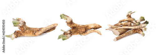 Raw horseradish roots isolated on white, collage design