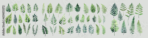 Set of Watercolor Fern Plant Illustration Vector. A stunning collection of watercolor fern plant illustrations in vector format  ideal for adding natural beauty to your design projects.