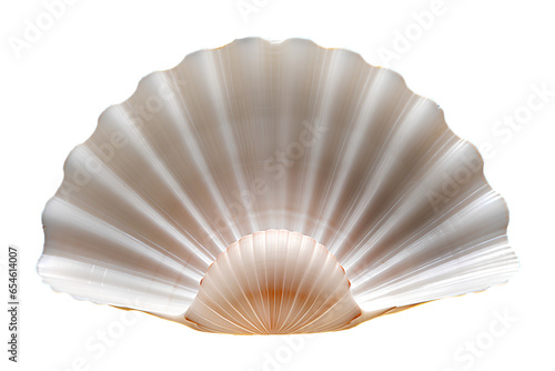 Isolated Seashell on a Transparent Background, Generative AI