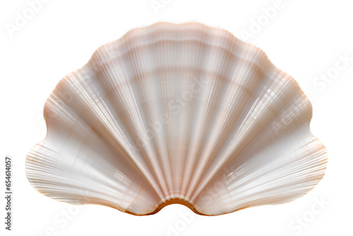 Isolated Seashell on a Transparent Background, Generative AI