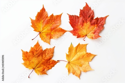 Maple Tree Leaves on White Background   Generative AI