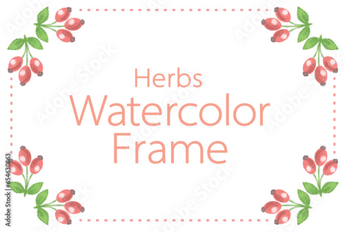 アロマに使われるハーブ・植物のイラスト・フレーム。ベクター素材