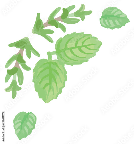 アロマに使われるハーブのイラスト・コーナー。フレームが作れます。ベクター素材