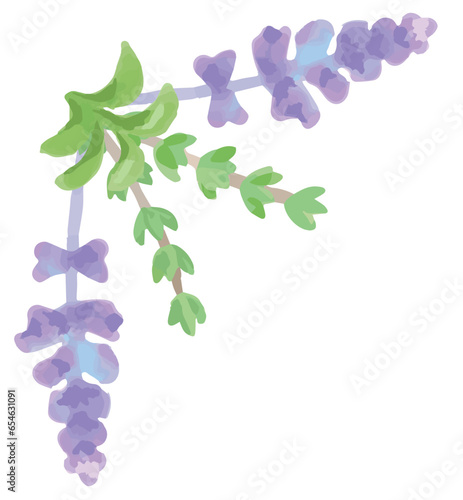 アロマに使われるハーブのイラスト・コーナー。フレームが作れます。ベクター素材