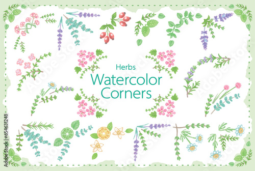 アロマに使われるハーブ・植物のイラスト。フレームが作れます。ベクター素材
