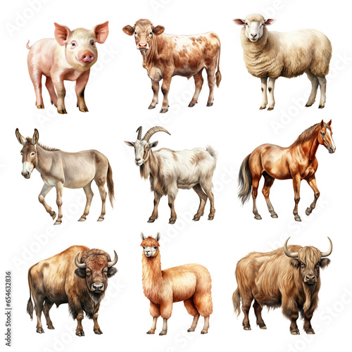 watercolor farm animal elements set. set of clipart livestock animal elements. cow, pig, sheep, donkey, goat, horse, bison, alpaca, yak.