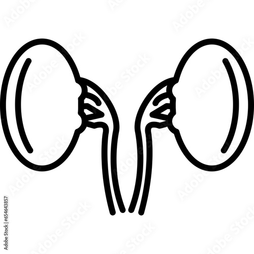 Kidneys Icon