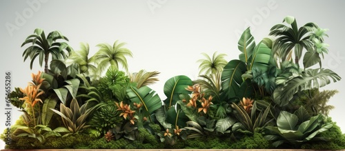 rendered tropical plant backdrop emphasizes natural beauty on a podium