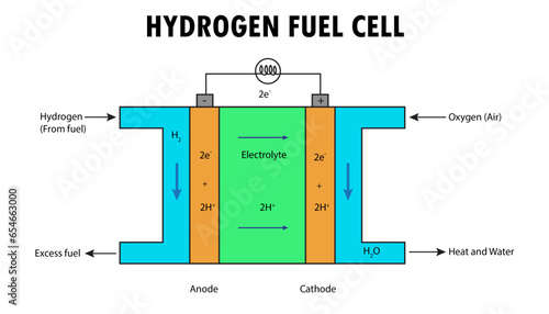 The Hydrogen fuel cell diagram