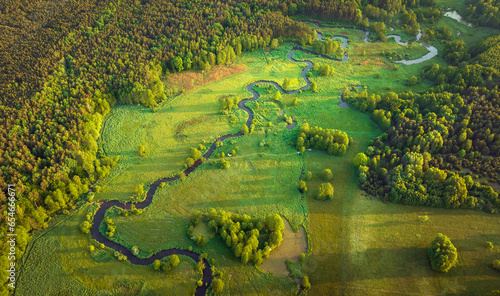 Natural river between the forest - aerial high view