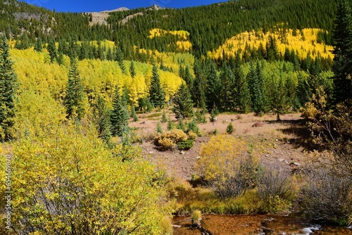 changing aspen and willow leaves next to a creek and mountains on a sunny fall day  on  the guanella pass road near georgetown in the  colorado rockies photo