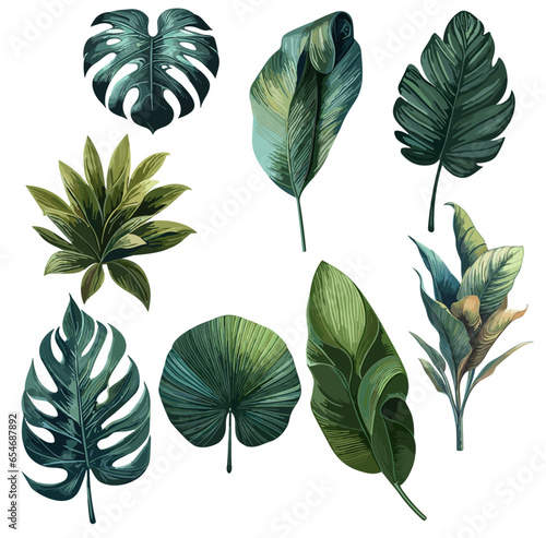 collection of leaves , set of leaves