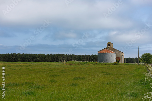 Old Corrugated clad metal Farm Buildings and a small Grain Silo in the Fields of wheat being grown on Farmland close to Montrose. photo