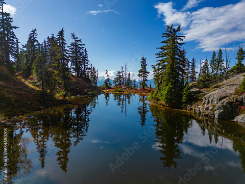 Lake on top of a Mountain with colorful wild flowers and trees in Fall Season.