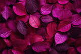 A magenta autumn foliage background depicts the vibrant hues of fall, showcasing the rich and vivid colors of the changing season