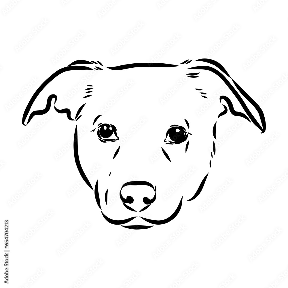 Obraz premium austrian pinscher vector sketch illustration