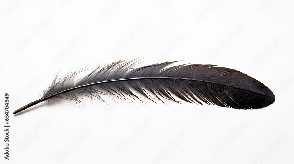 raven feather on a white background - obrazy, fototapety, plakaty 