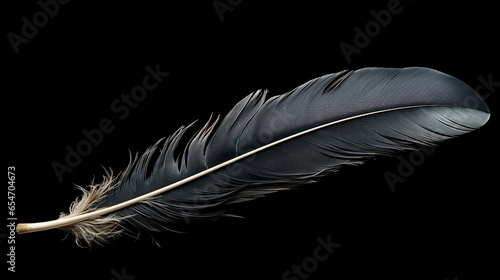 raven feather on a black background