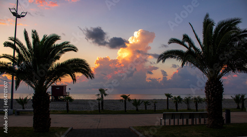 Sea sunset. Seascape. Evening tropical beach with palm trees.