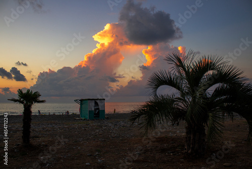 Sea sunset. Seascape. Evening tropical beach with palm trees.