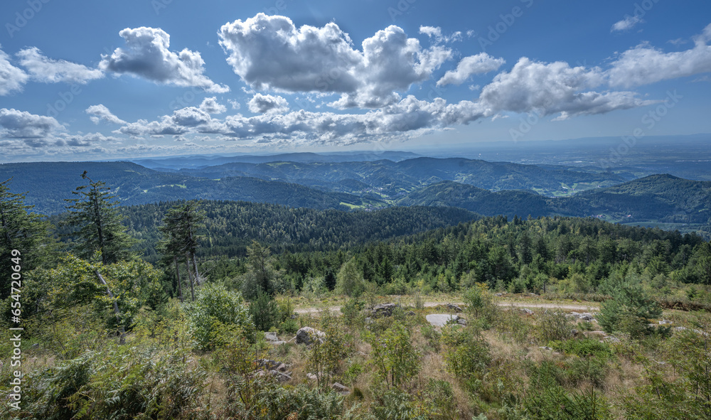 View from the Hornisgrinde mountain over the Northern Black Forest in the Rhine Valley. Baden Wuerttemberg, Germany, Europe