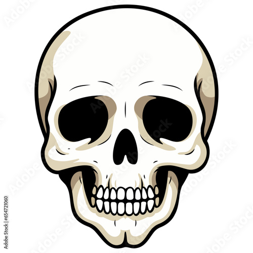 Human skull vector illustration. Halloween symbol of death, skeleton head, day of the dead.