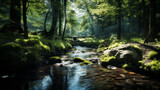A clear stream winding through a forest, showcasing the beauty of pristine waterways