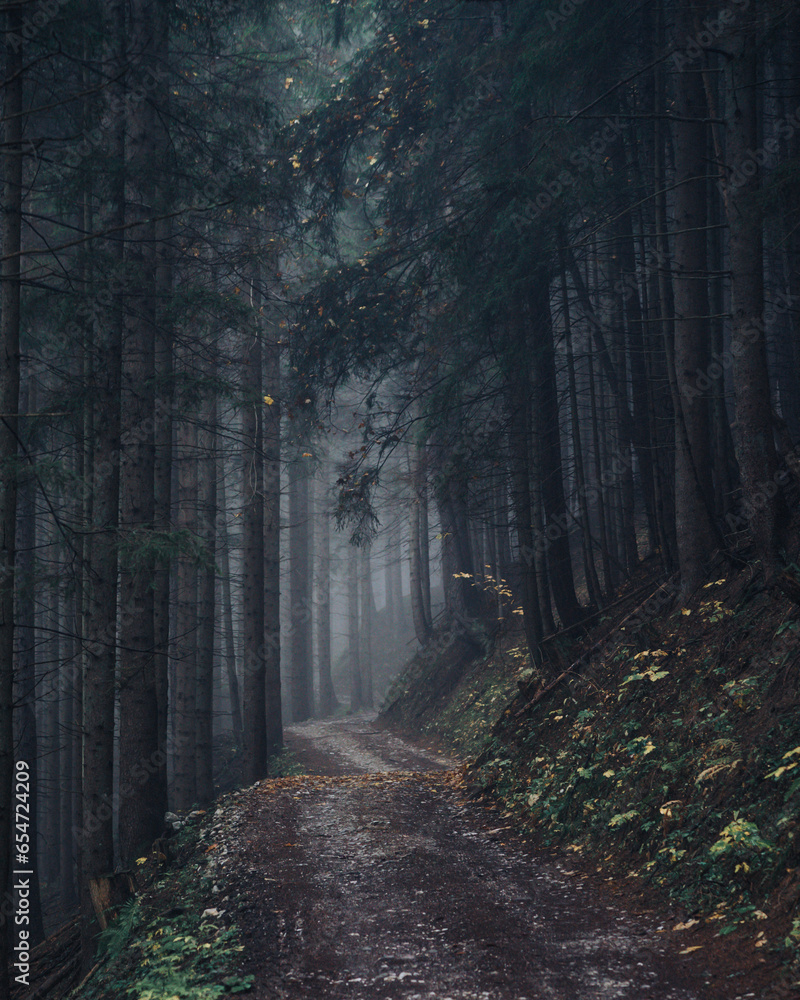 Obraz premium Hochschwabgebiet