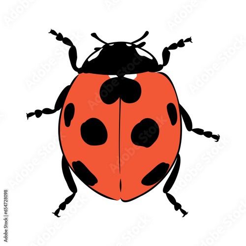 Hand drawn ink sketch of ladybug ladybug, vector sketch © Elala 9161