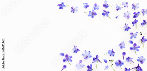 Cuadro en lienzo Top view image of violet delphinium flowers composition over white isolated back