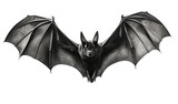 Black bat isolated on a white background