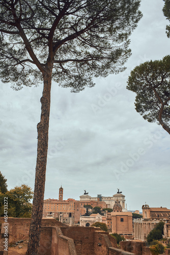 view of the town region country. Forum