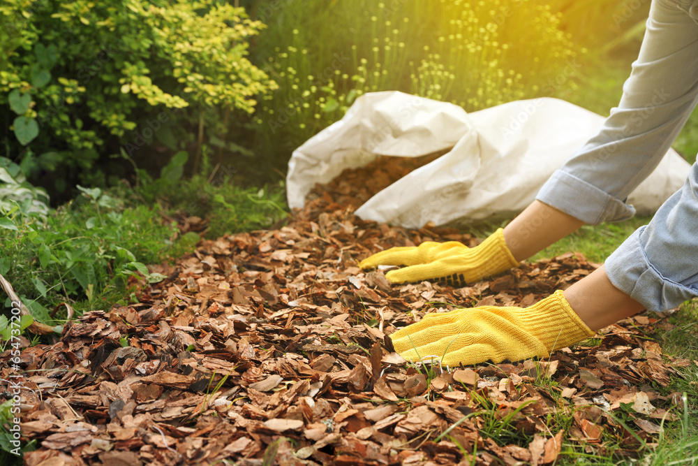Woman mulching soil with bark chips in garden, closeup Woman mulching soil with bark chips in garden, closeup