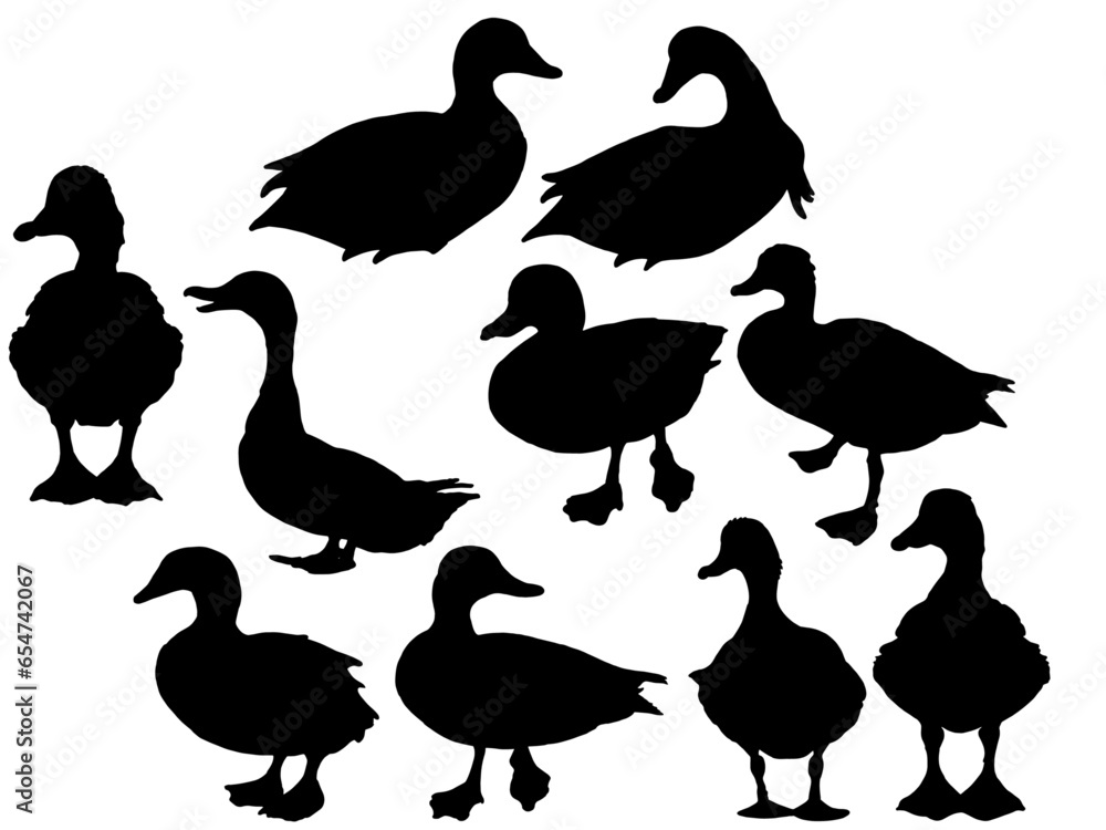 Obraz premium set of ducks silhouettes