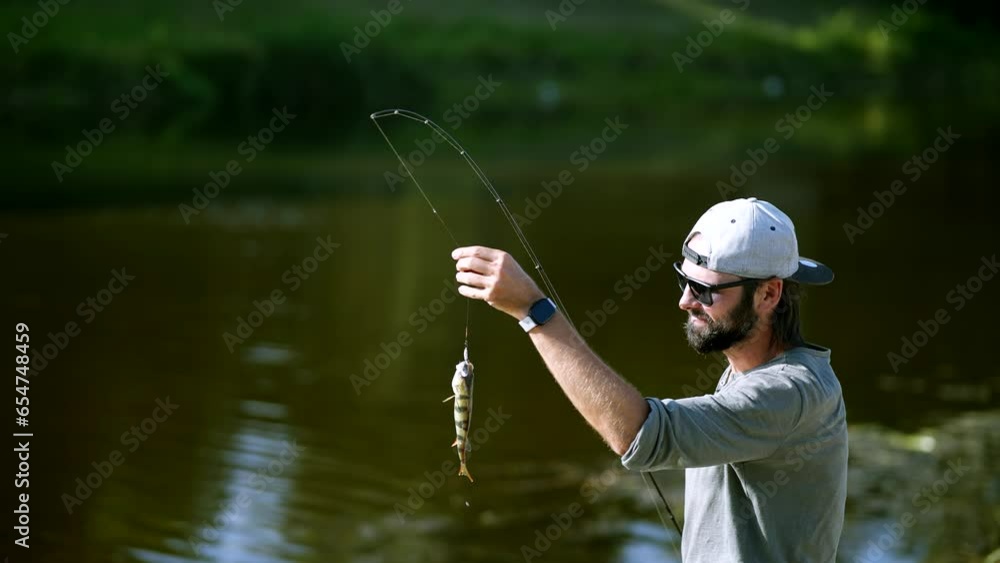 Fisher pilling perch . Angler ultralight catching pike Fisher pilling perch . Angler ultralight catching pike