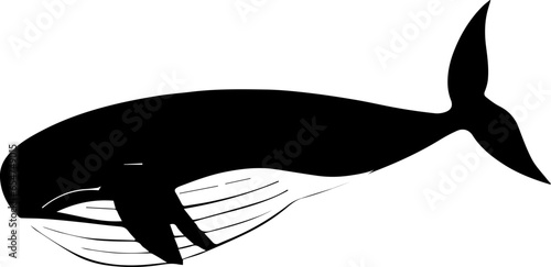 Fin Whale icon