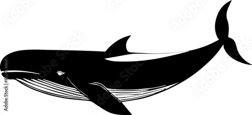 Fin Whale icon 2