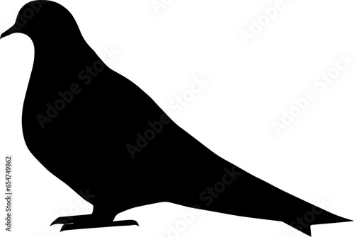 Eurasian Collared Dove icon 2