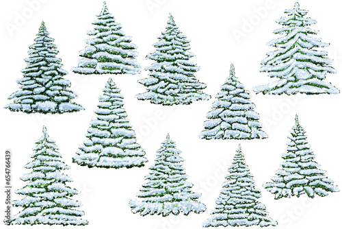 Set of Christmas trees snow-covered. Evergreen snow-covered tree in winter. Green spruce in the snow. © LekoArt 