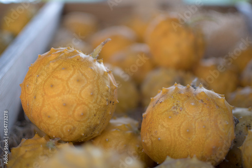 variety of pumpkins in harvest season